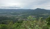 Tocht Stappen Neubois - Frankenbourg. Rocher dû coucou  - Photo 1