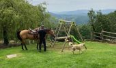 Tour Reiten Urbach - Fouday auberge du promont Tivio joyeux  - Photo 6