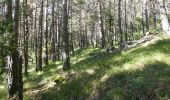 Trail Walking Glandage - Col de la Péyère (Grimone) - Photo 17