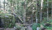 Tour Wandern Woll - le honneck - Photo 1