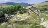 Percorso A piedi Cogoleto - Prato Rotondo - Passo del Faiallo - Photo 4