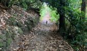 Trail  Mazamet - PASSERELLE DE MAZAMET AVEC PHOTOS - Photo 5