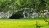 Trail Walking Oberlarg - Oberlarg - sa grotte - la ferme des Ebourbettes - le château de Morimont - Photo 5