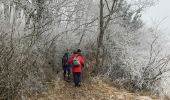 Tour Wandern Martailly-lès-Brancion - Martialy le 29-01-2022 - Photo 1