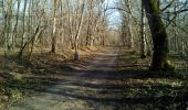 Trail Walking Fontainebleau - L'épine et la mare aux évés - Photo 9