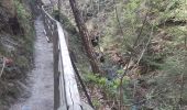 Trail Walking Aywaille - ninglinspo . chefna . fond de quareux  - Photo 20