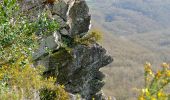 Randonnée A pied Athis-Val-de-Rouvre - Sentier du granite - Photo 9