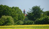 Tocht Te voet Dahme - Große Holzkoppel-Route - Photo 8