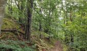 Randonnée Marche Verrières-en-Forez - Au dessus de Verriéres en Forez  - Photo 14