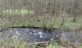 Tour Wandern Monschau - Höfen variante narcisses 15,3 km - Photo 14