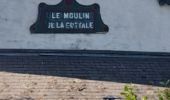 Tour Wandern Sainte-Ode - Marche ADEPS Lavacherie - Photo 16