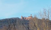 Tour Wandern Sankt Pilt - St Hippolyte - Bergheim - château Reichenberg - Photo 1