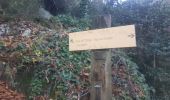 Excursión Senderismo Taurinya - les llacereras au départ taurynia - Photo 2