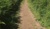 Tocht Te voet South Hams - Greenway Walk - Photo 10