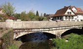 Percorso A piedi Endingen - Steinenbüel - Endingen - Photo 1