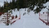 Tocht Sneeuwschoenen Pralognan-la-Vanoise - Pralognan: Fontanettes par la cascade de la Faîche - Photo 4