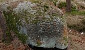 Randonnée A pied Fontainebleau - Sentier Denecourt-Colinet 7 - Photo 2