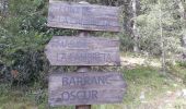 Percorso A piedi Vistabella del Maestrat - Sant Joan - Sant Joan por Mas de Macén - Photo 2