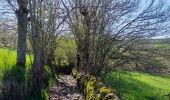 Tocht Stappen Saint-Chély-d'Aubrac - Compostelle St chely St come d'olt - Photo 13