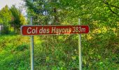 Tocht Stappen Bouillon - 2024-09-15_08h33m03_Les Hayons Bouillon - Photo 10