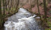 Tour Wandern Theux - Desnié  - Photo 4