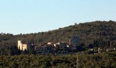 Tocht Te voet Gaiole in Chianti - Trekking tra i castelli 4 - Photo 3