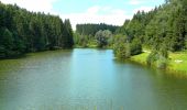 Tour Zu Fuß Alfdorf - Alfdorfer Wanderweg Nr. 2 Eisenbachsee Leinecksee - Photo 1