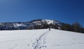Tour Schneeschuhwandern Colmars - LAUPON 23.02.19 - Photo 10
