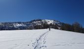 Excursión Raquetas de nieve Colmars - LAUPON 23.02.19 - Photo 10