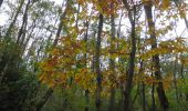 Tour Wandern Saint-Aubin-Celloville - 20211106-St Aubin Celloville - Photo 14