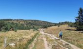 Randonnée Marche Orbey - Col du Wettstein - Hautes-Huttes - Lac du Forlet - Lac Vert - Photo 16