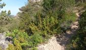 Tour Wandern Mostuéjouls - Liaucous-village troglodyte-18-05-22 - Photo 3