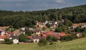 Randonnée A pied Lichtenfels - Uetzinger Weg - Photo 7