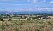 Trail Walking Le Cailar - cailar-costieres-camargues - Photo 4
