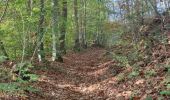 Trail Walking Clavier - A la découverte de Pailhe  - Photo 15