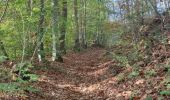 Tour Wandern Clavier - A la découverte de Pailhe  - Photo 15