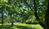 Tour Wandern Rochefort - Wavrielle  12-06-20 - Photo 1