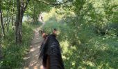 Trail Horseback riding Sallent de Gállego - Gavarnie étape 2 - Photo 18