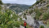 Excursión Bici de montaña Aínsa - las bellostas bagueste - Photo 1
