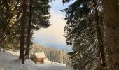 Percorso Racchette da neve Saint-Jean-de-Sixt - Le panorama du Danay (14) - Photo 5