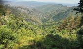 Tocht Stappen Val-d'Aigoual - 4000 marches-14-06-22 - Photo 10