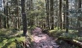 Tour Wandern Arconsat - Montlune par La Meule - Photo 4