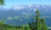 Tocht Te voet Schladming - Wanderweg 60 - Photo 5