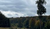 Trail Walking Habay - Le grand ruisseau  - Photo 3