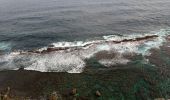 Randonnée Marche Le Moule - Anse Petite Savane - Anse à l'Eau - Photo 6