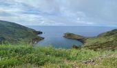 Tour Wandern Horta (Angústias) - Horta, Faial: Monte Queimado et Monte da Guia (PRC 08 FAI) - Photo 10