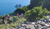 Excursión Senderismo La Seyne-sur-Mer - plage du 🐂  - Photo 3