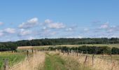 Tour Wandern Meix-devant-Virton - rando gerouville 6-07-2023 - Photo 10