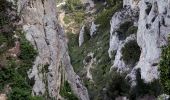 Randonnée Marche Marseille - Aiguille Guillemin - Mont Puget - Cap Gros -  Vallon Chalabran - Photo 12