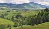 Tour Wandern Villard-de-Lans - Villard de Lans - les clots - bergerie de la fauge  - refuge - clos du four - fontaine magdelen- retour parking des clots - Photo 2